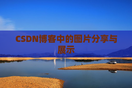 CSDN博客中的图片分享与展示